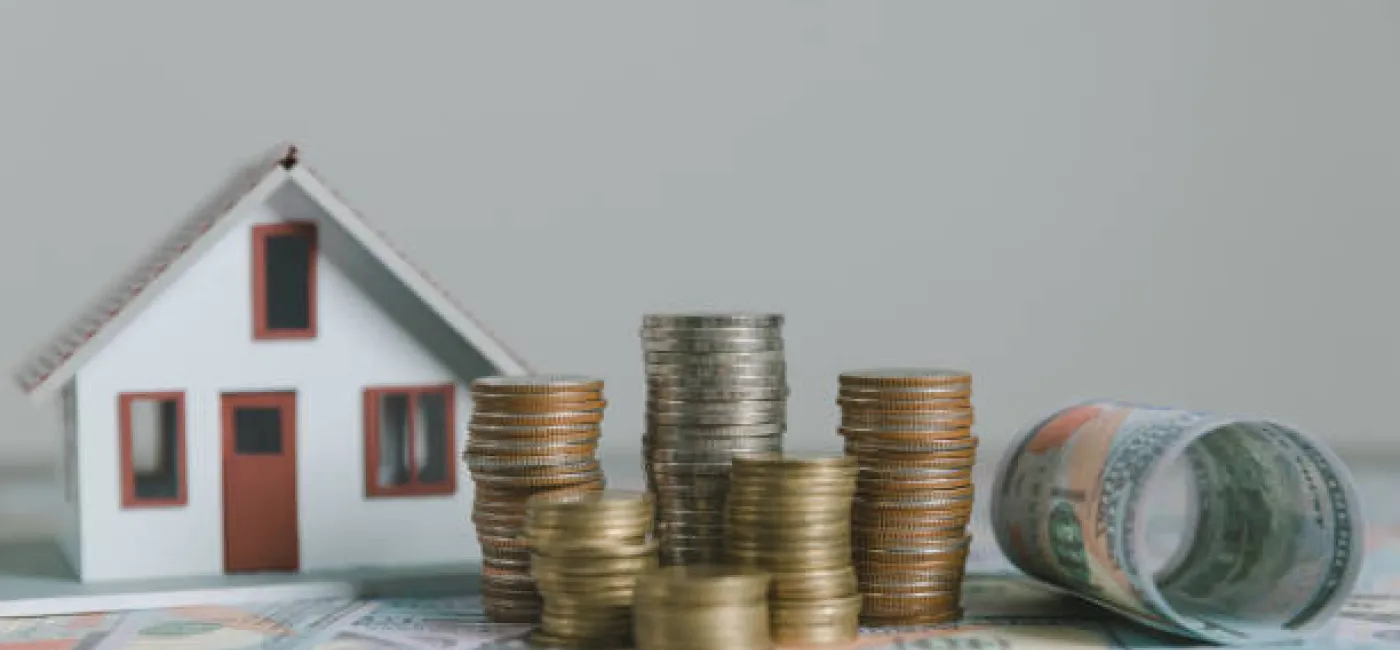 Housing Market Expert Tips UK House Prices To Plummet