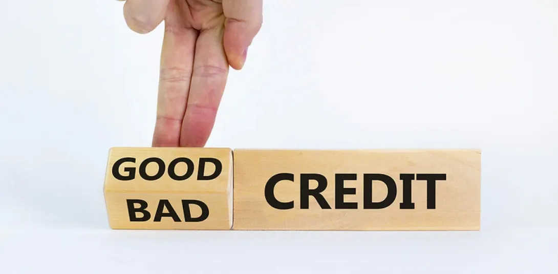Good/Bad Credit Score